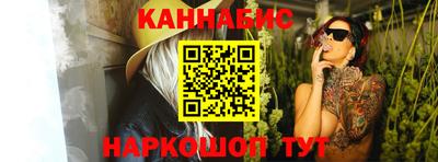 мдпв Татарск