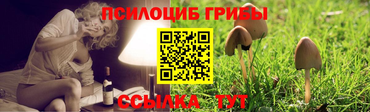 Галлюциногенные грибы мицелий Мценск